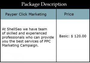 Pay Per Click Marketing Services